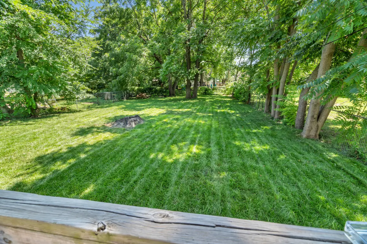 59444 153474 TkD6FIzK2DazPM8Irybl7S3uQYIUpUiNFCMVm0Tcyw0 64a0ce3b78bbc.jpg