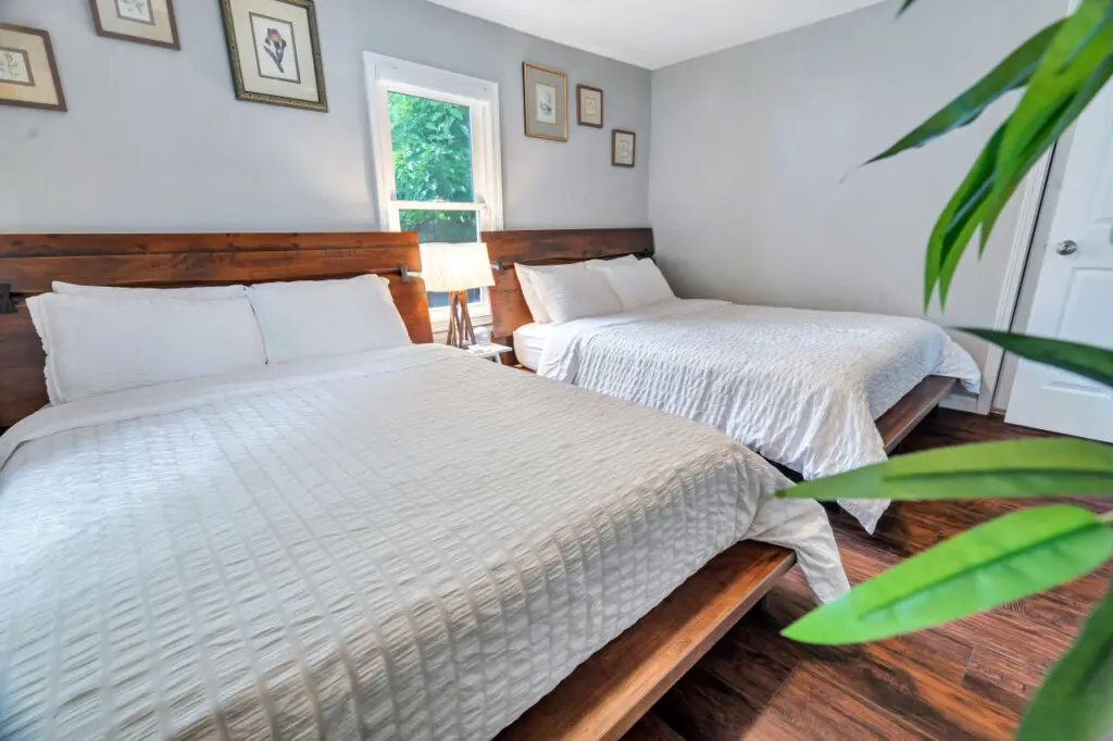 59444 153476 73FB6j07mZqFo8QRjiSTQdkUXscGGeOmex1Y fZPzsE 64a0d0fa50bbc.jpg