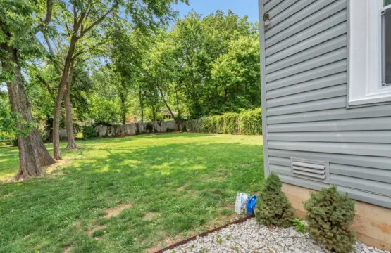 59444 165408 98LydYZySuucIlFFTtB1K7Wwl1mO1UQhxeVLx21toyE 648c836419a2d.jpg