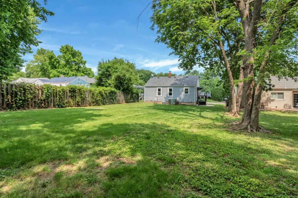 59444 165408 GyMgNXCiiZb05PF2iPX1EggiS5n1tPVUNNs625sVh Q 648c8373b335d.jpg